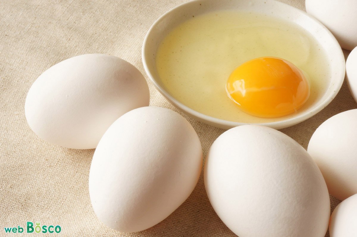 卵 再発見 安心しておいしく食べるための基礎知識 裏技 Web Bosco