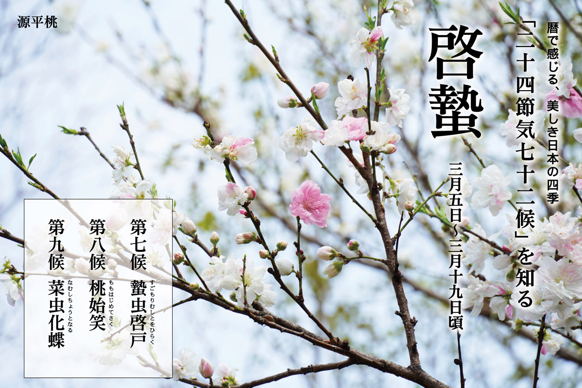 暦で感じる、美しき日本の四季「二十四節気・七十二候」を知る Part 2