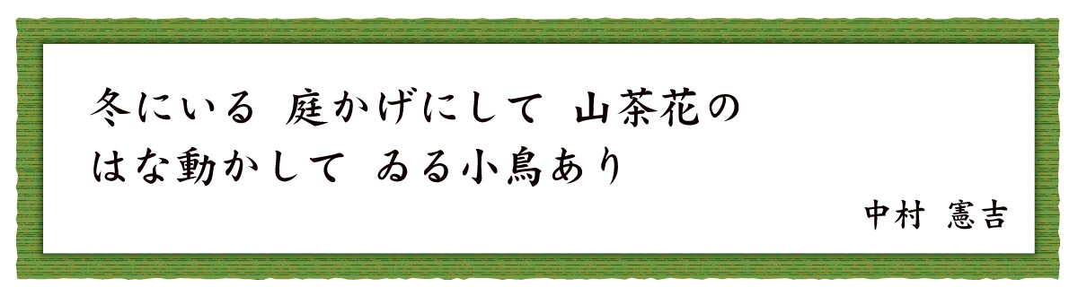 心に咲く花 36回 山茶花 サザンカ Web Bosco