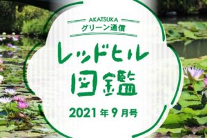 レッドヒル図鑑_2021年9月