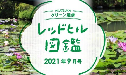 レッドヒル図鑑_2021年9月