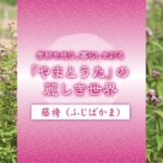 心に咲く花 46回　藤袴（ふじばかま）