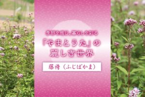 心に咲く花 46回　藤袴（ふじばかま）