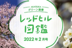 レッドヒル図鑑2022年2月