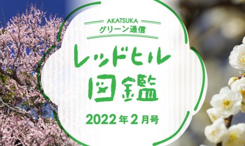 レッドヒル図鑑2022年2月