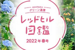 レッドヒル図鑑　2022年春