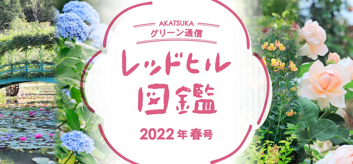 レッドヒル図鑑　2022年春