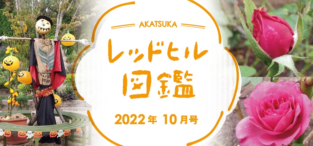 レッドヒル図鑑2022年10月号