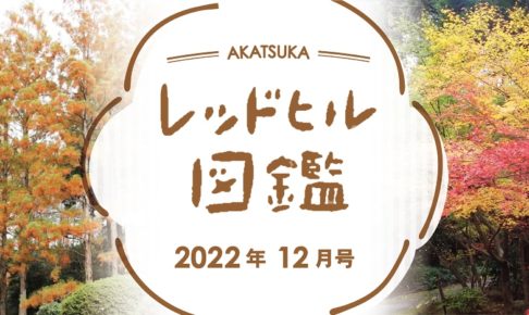 レッドヒル図鑑2022年12月