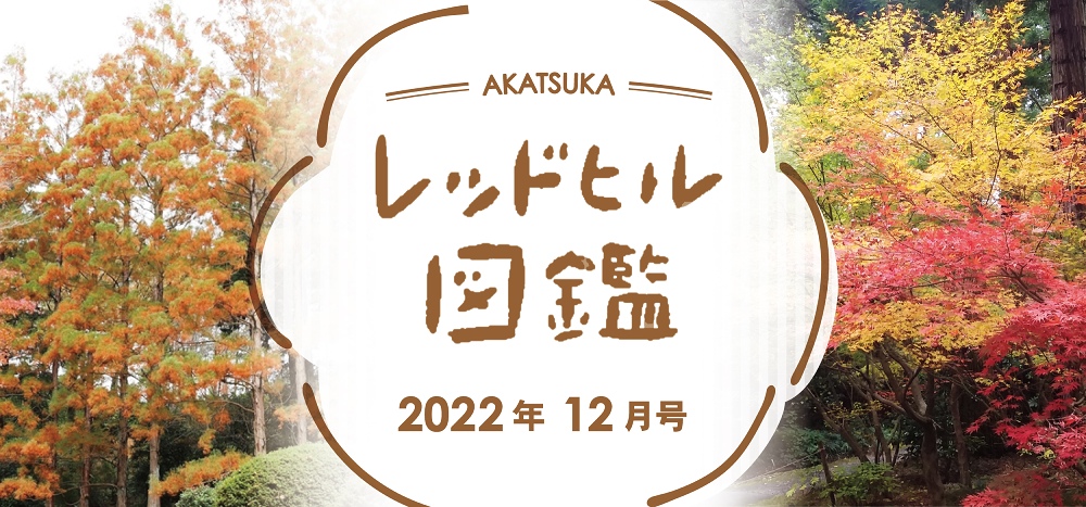 レッドヒル図鑑2022年12月