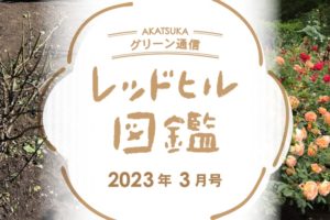 レッドヒル図鑑2023年3月タイトル