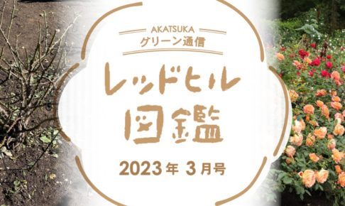 レッドヒル図鑑2023年3月タイトル