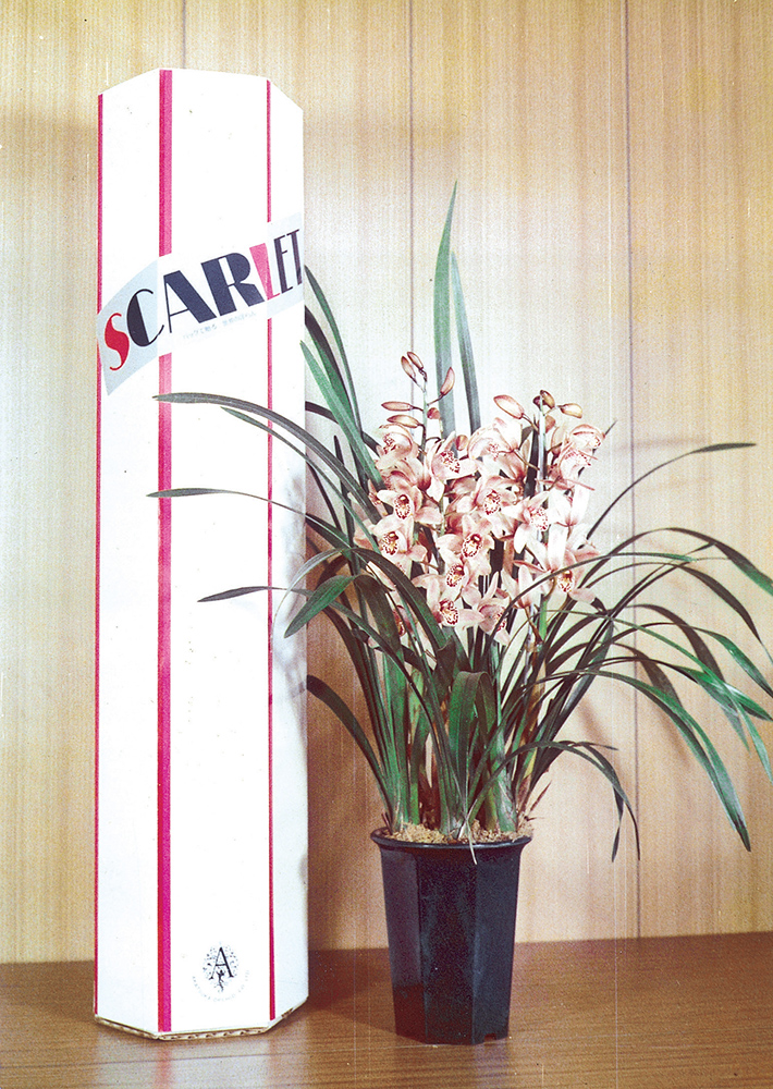 昭和47年11月、洋ランを郵便小包で発送開始