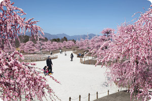 suzukanomori garden