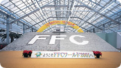 FFC World 2001
