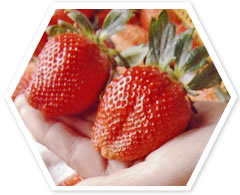 strauberry image