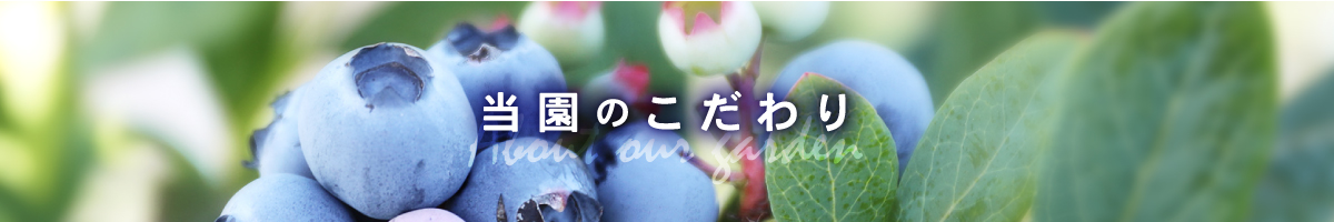 赤塚ブルーベリーガーデン　akatsuka blueberry garden