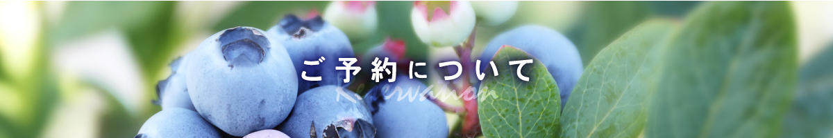 赤塚ブルーベリーガーデン　akatsuka blueberry garden