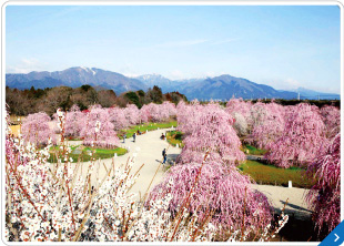 鈴鹿の森庭園