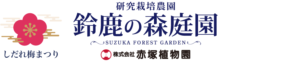 鈴鹿の森庭園 Suzuka Forest Garden