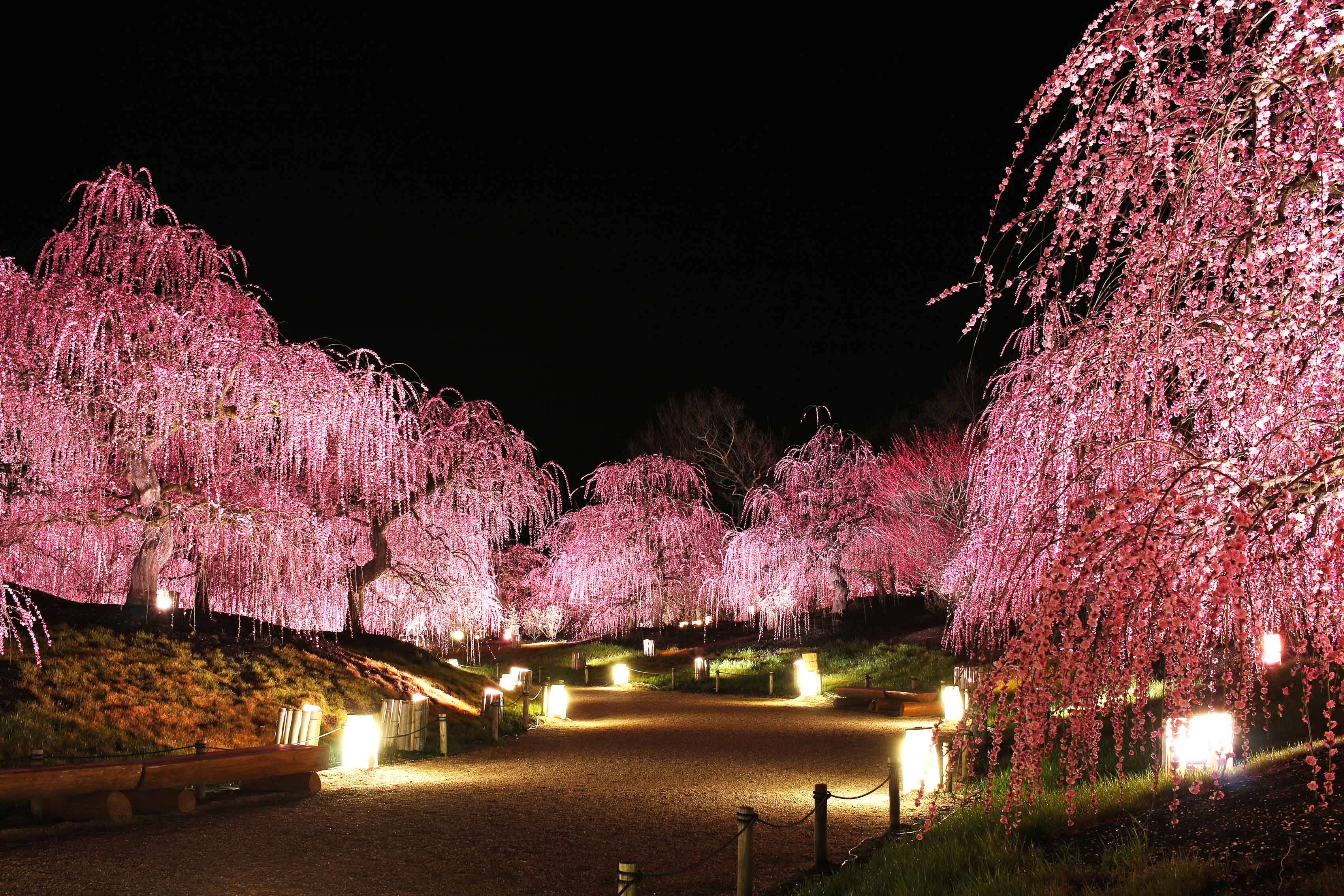 鈴鹿の森庭園 Suzuka Forest Garden