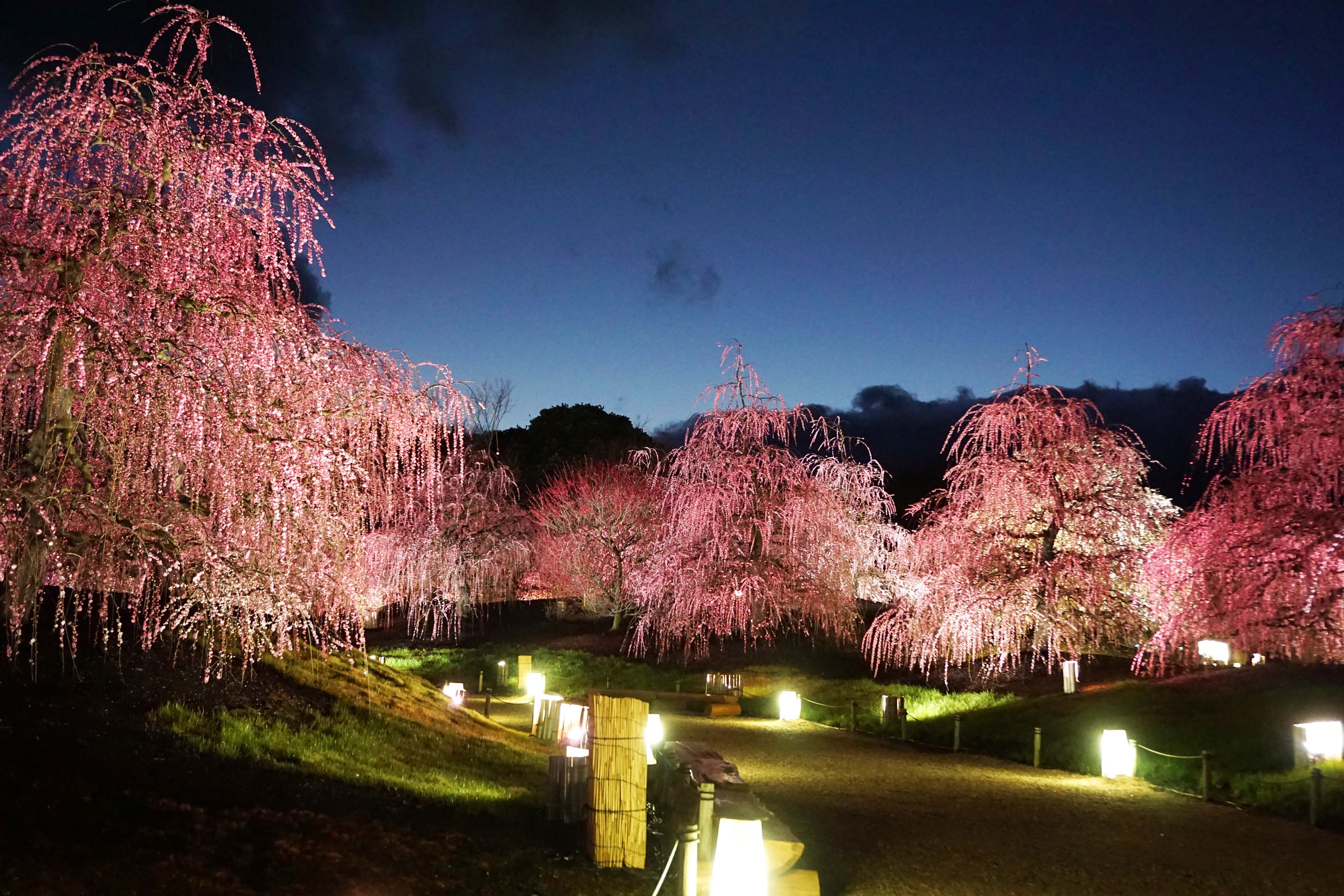 鈴鹿の森庭園 Suzuka Forest Garden