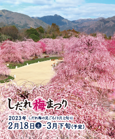 鈴鹿の森庭園 Suzuka Forest Garden