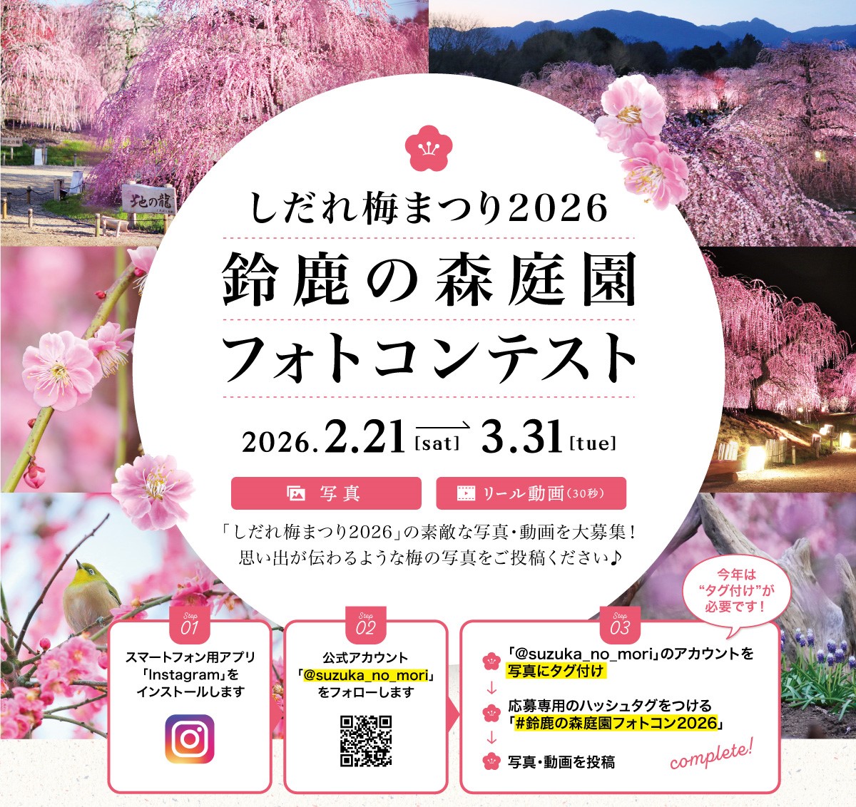 しだれ梅まつり 鈴鹿の森庭園フォトコンテスト