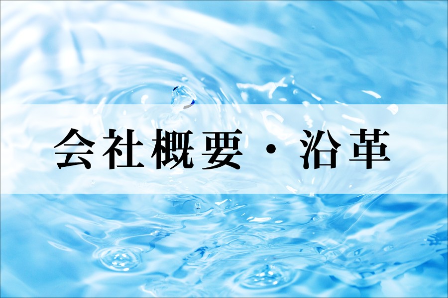 会社概要と沿革